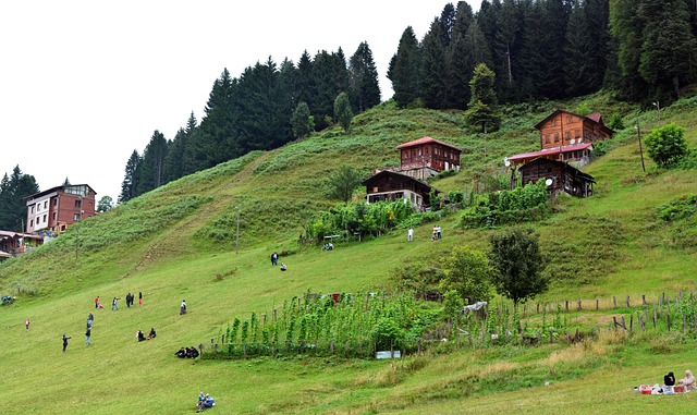 Ayder Yaylası'nda gün batımında yeşil çayır, ahşap yayla evleri ve arka planda Kaçkar Dağları'nın silueti