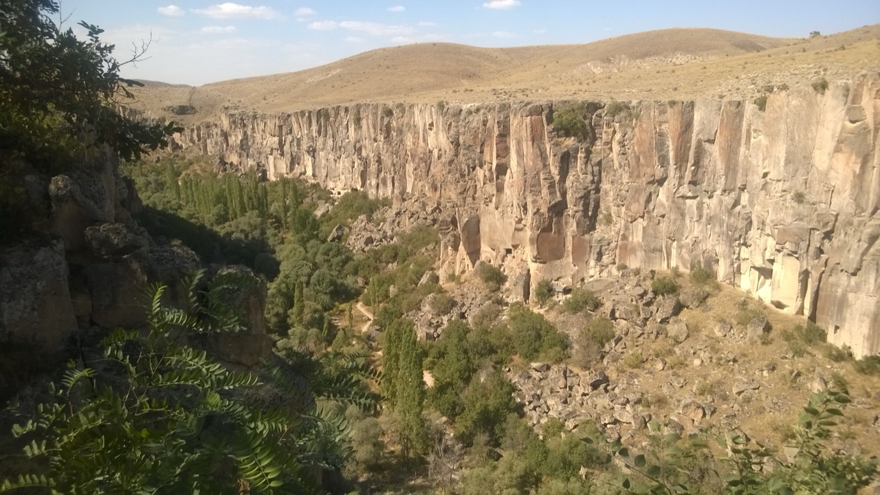 Ihlara Vadisi'nin dik kanyon duvarları ve vadi tabanındaki yeşil ağaçlar